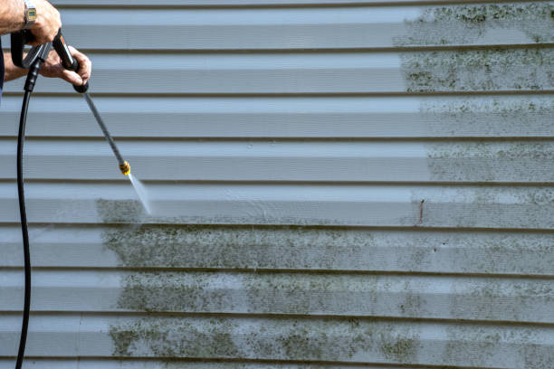 Best Hoarding Cleanup  in Sanford, CO